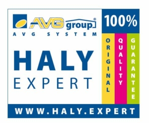 logo haly expert